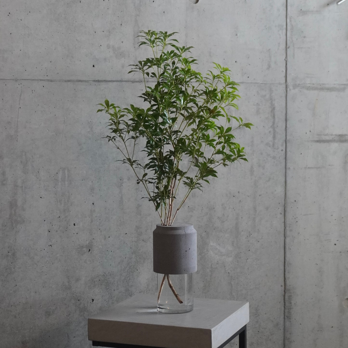 NEW ARRIVAL / Glass Flower Vase