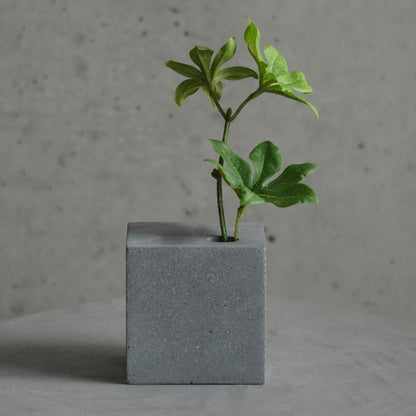 Concrete Flower Vase Square
